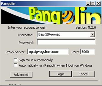 Пример подключения к системе программного телефона Pangolin